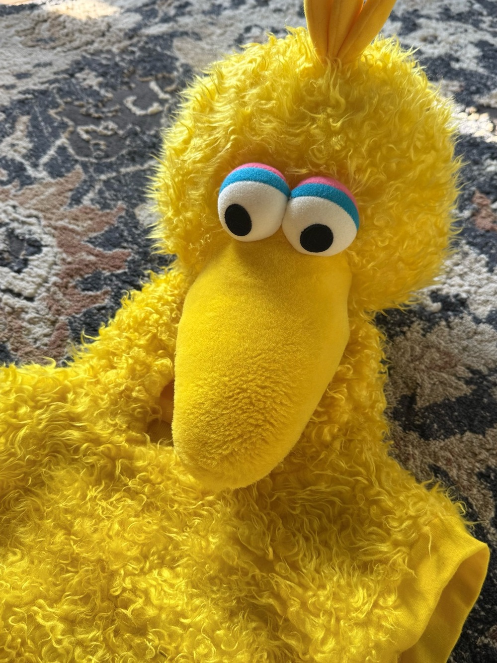 Vintage Sesame Street Big Bird Costume Size 2-4 Plush Head Halloween- 2 part